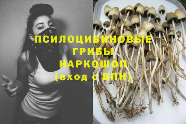 дурь Заволжск