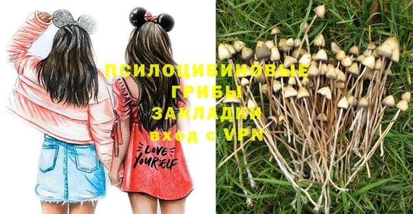 a pvp Семёнов